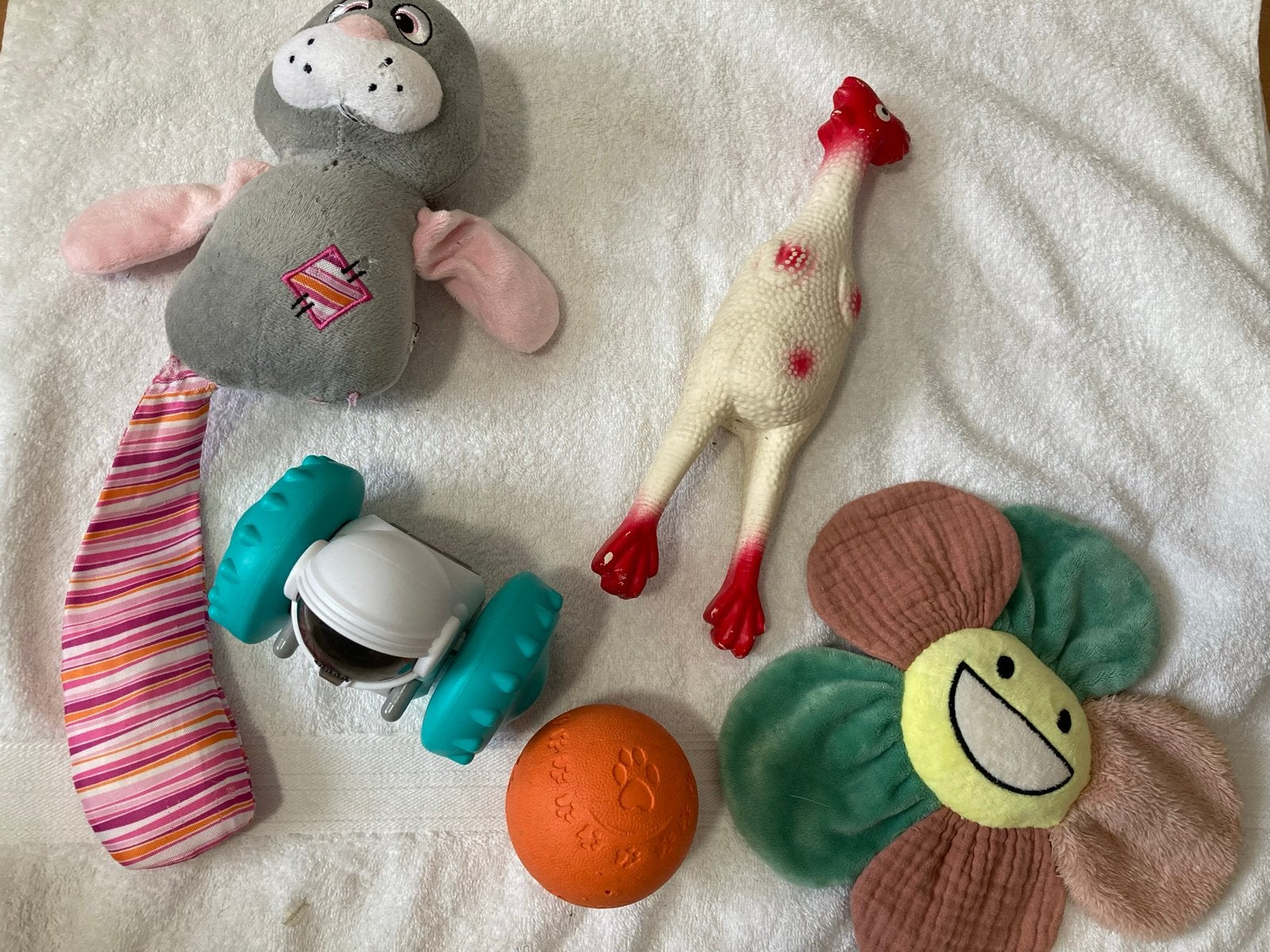 Speelgoed voor hond / pup, Dieren en Toebehoren, Honden-accessoires, Ophalen of Verzenden, Gebruikt, Hondenspeelgoed