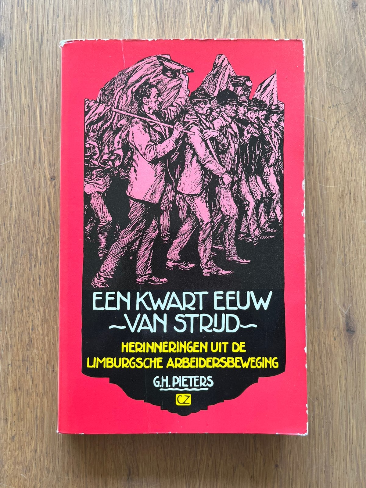Een kwart eenuw strijd - G.H. Pieters, Ophalen of Verzenden, 20e eeuw of later, Gelezen