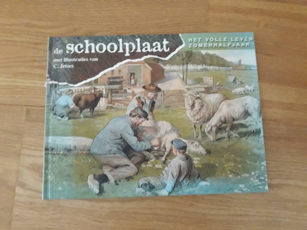 De Schoolplaat: Het Volle Leven Zomerhalfjaar - C. Jetses, Ophalen of Verzenden, Zo goed als nieuw, C. Jetses