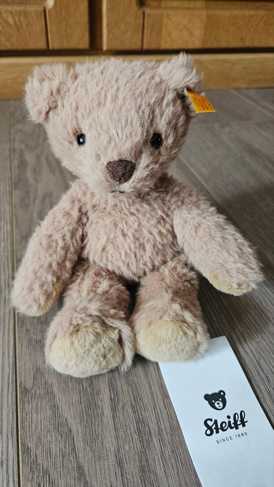Teddybeer Thommy Steiff, Ophalen of Verzenden, Zo goed als nieuw, Stoffen beer, Steiff