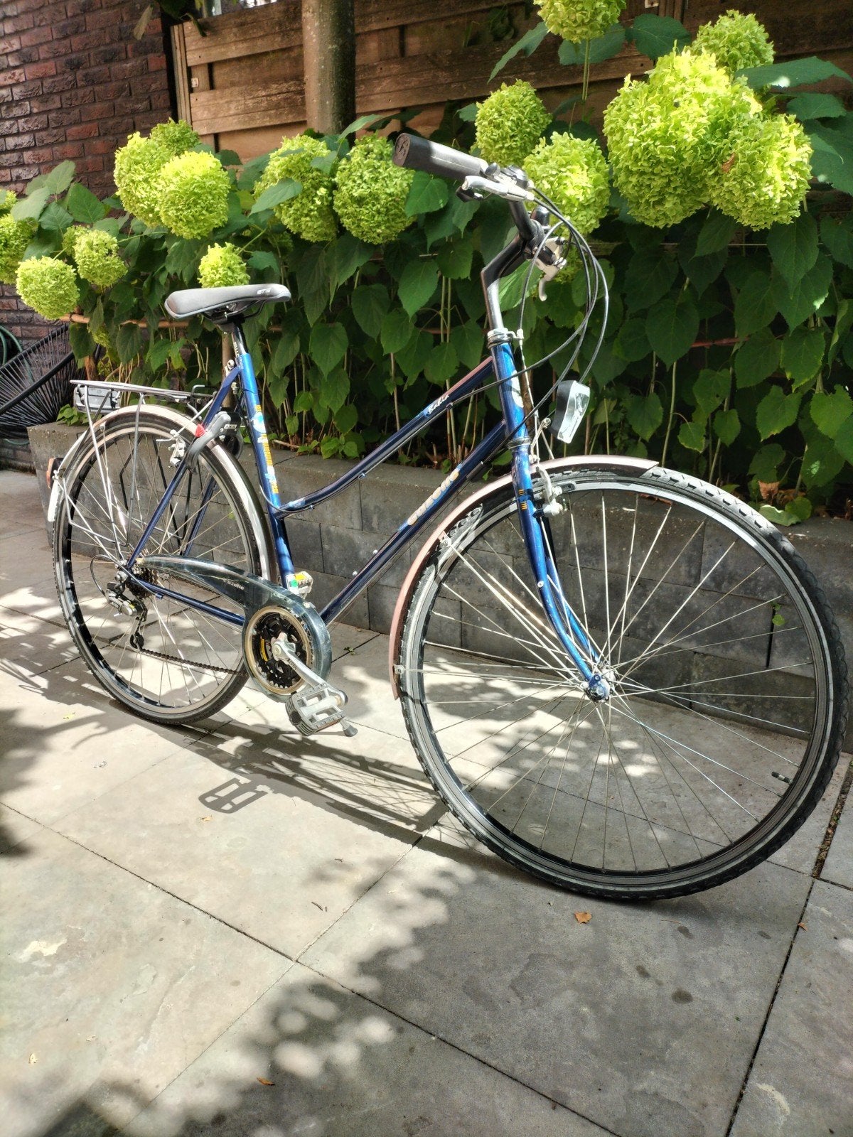 Gazelle Bahia damesfiets, 28 inch, 21 versnellingen., Ophalen, 28 inch, Velgrem, 56 cm of meer