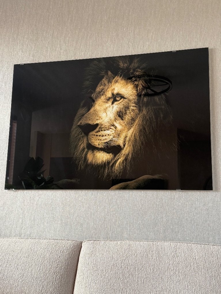 Glasschilderij 120x80cm, Ophalen, Zo goed als nieuw, Schilderij, 100 tot 125 cm