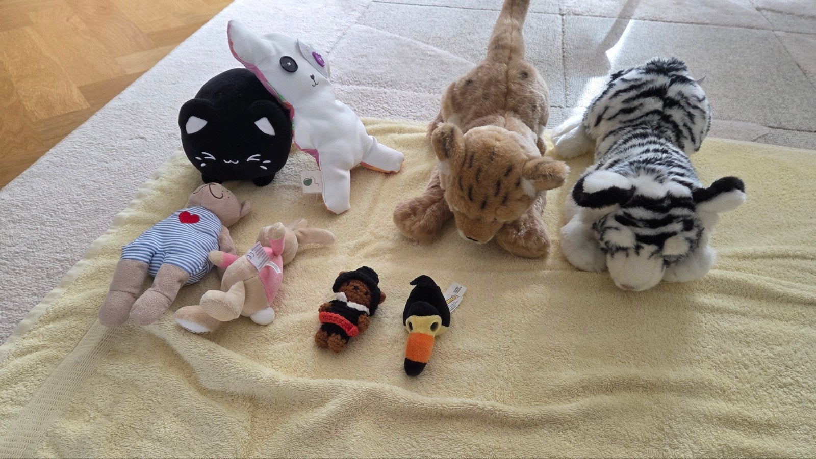 Diverse knuffels: tijgers, kat, beer, konijn en meer, Ophalen, Zo goed als nieuw, Middelgroot (20 tot 80 cm), Bruin