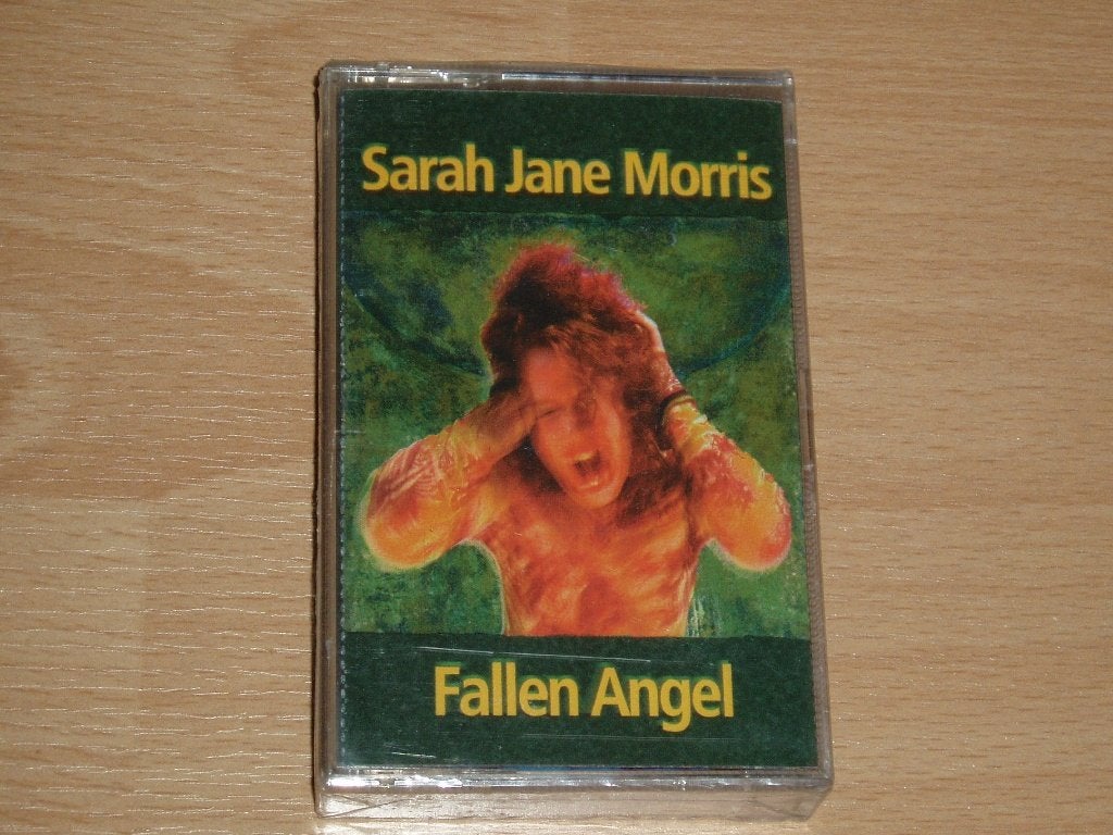 cassettebandje Sarah Jane Morris - Fallen angel (nieuw), Verzenden, Nieuw in verpakking, 1 bandje