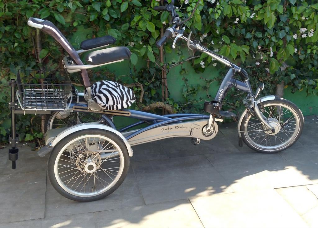 Easy Rider zitdriewielfiets, Fietsen en Brommers, Fietsen | Driewielfietsen, Ophalen