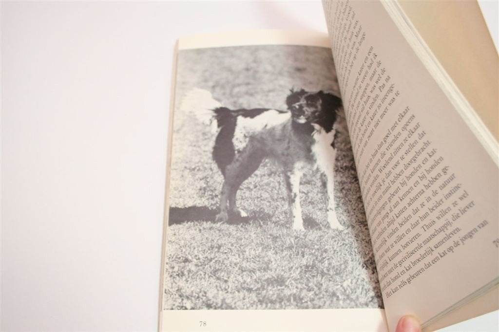 Bastaardhonden [1978] — Keuze, Zorg & Opvoeding, Ophalen of Verzenden, Gelezen, Honden