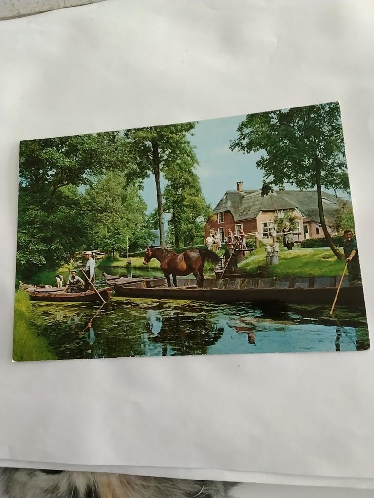 GIETHOORN. VERVOER PAARD PER BOOT 1983, Ophalen of Verzenden, 1980 tot heden, Overijssel