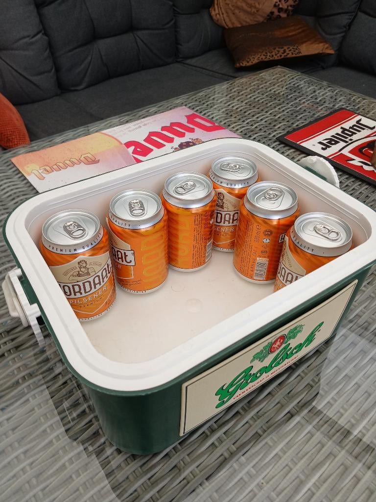 Grolsch koelboxje, Ophalen, Gebruikt, Overige typen, Grolsch