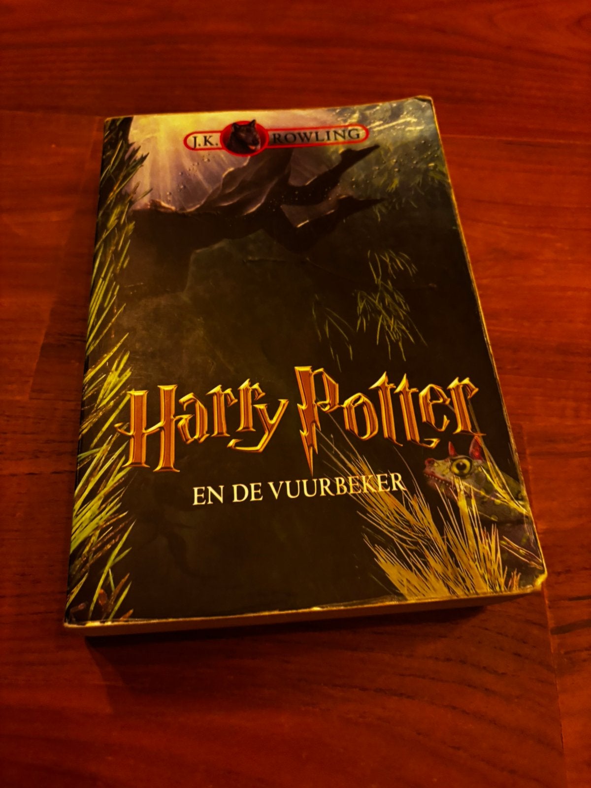 Harty potter - en de vuurbeker, Boeken, Fantasy, Ophalen of Verzenden, Zo goed als nieuw