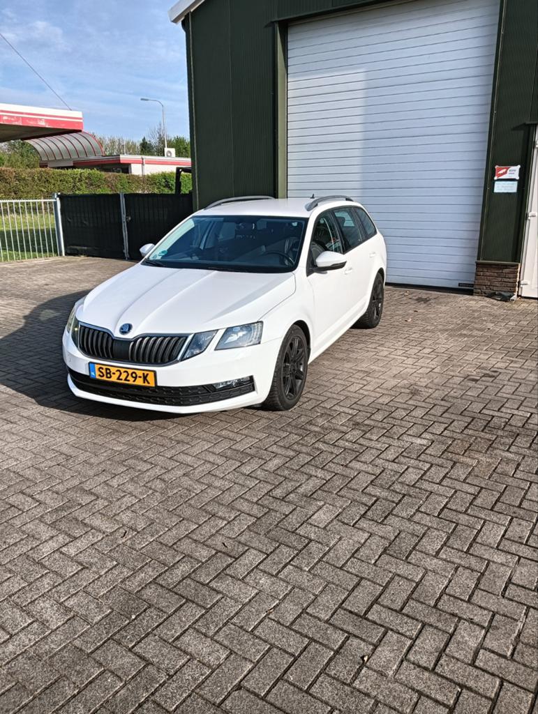 Skoda Octavia 1.6 TDI Greentech 115pk Dsg-7 2018 Wit, Auto's, Skoda, Particulier, Octavia, Android Auto, Apple Carplay, Automatische klimaatregeling