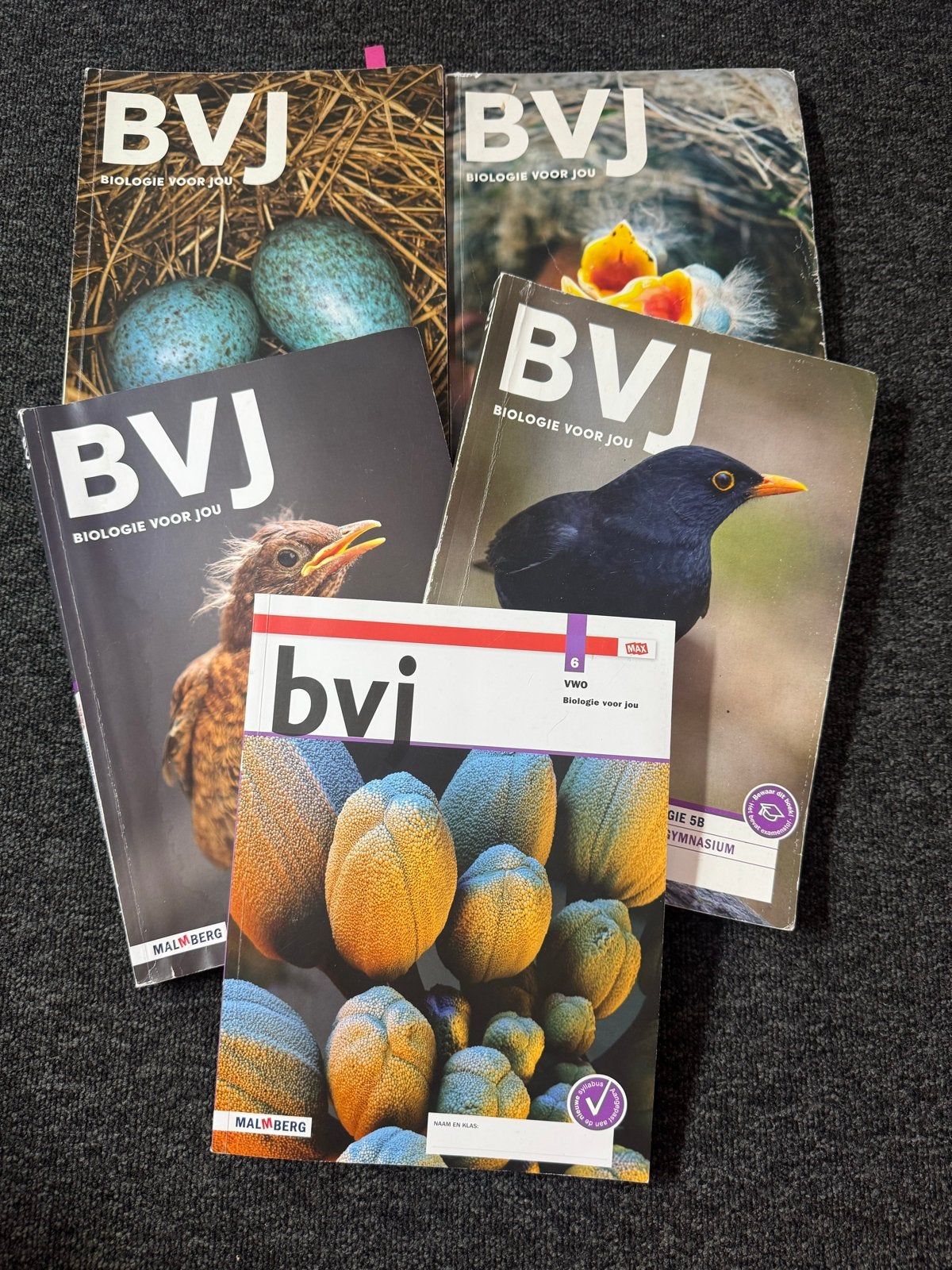 BVJ Biologie voor jou VWO boeken (set), Boeken, Schoolboeken, Ophalen of Verzenden, Gelezen, VWO, Biologie