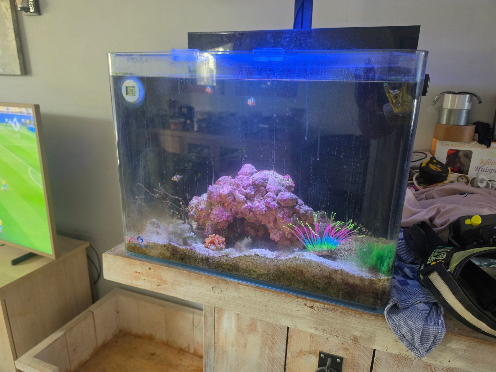Blue marine 120 nano zeeaquarium, Dieren en Toebehoren, Ophalen, Gevuld zeewateraquarium, Gebruikt, Blue Marine