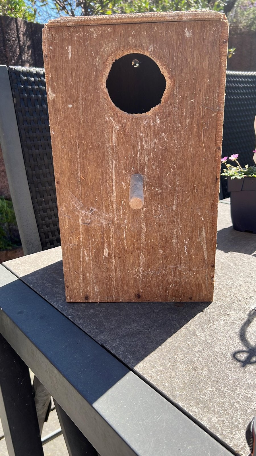 Broedhok voor vogels, Ophalen, Gebruikt, Hout, Broedkooi of Kweekkooi