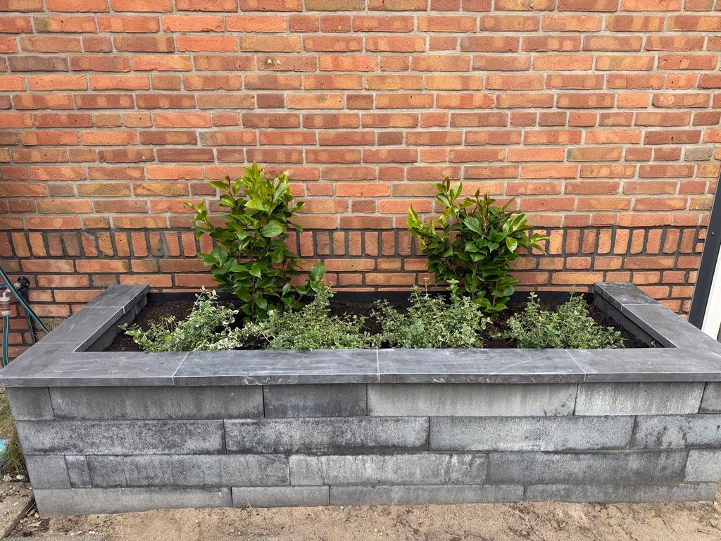 1,5x Hardstenen muurafdekkers / vijverranden 100x15x3cm, Tuin en Terras, Ophalen, Overige typen, Nieuw, Natuursteen