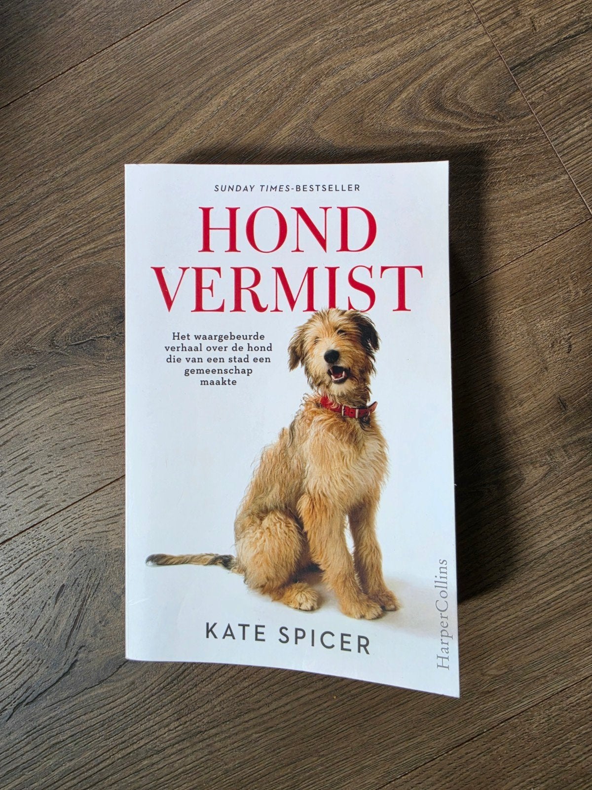 Kate Spicer - Hond vermist, Ophalen of Verzenden, Zo goed als nieuw, Kate Spicer