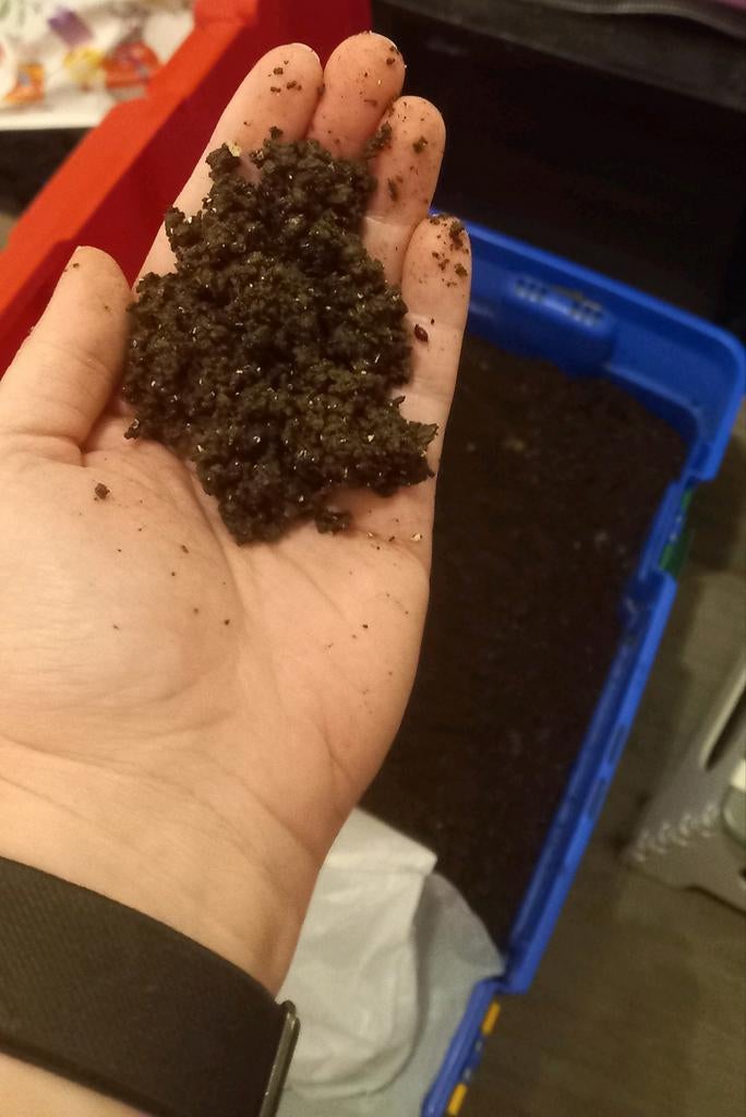 T.K wormen compost, Ophalen of Verzenden, Compost