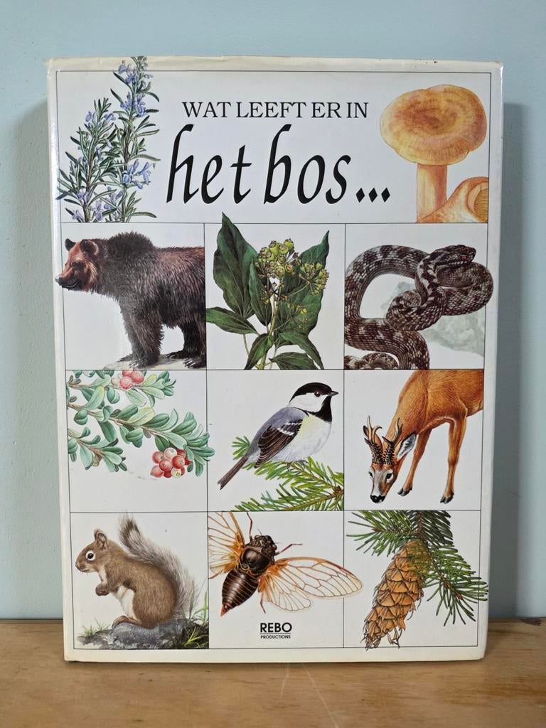Wat leeft er in HET BOS - vintage natuurgids, Ophalen of Verzenden, Zo goed als nieuw, Karel Štastný, Natuur algemeen