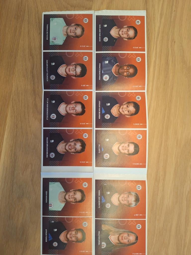AH Sportplaatjes - SV Parkhout, Ophalen of Verzenden, Zo goed als nieuw, Overige onderwerpen
