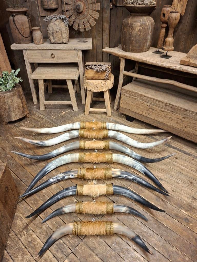 bullbars longhoorn western koeienhoorns gewei koeienhuid, Ophalen, Nieuw