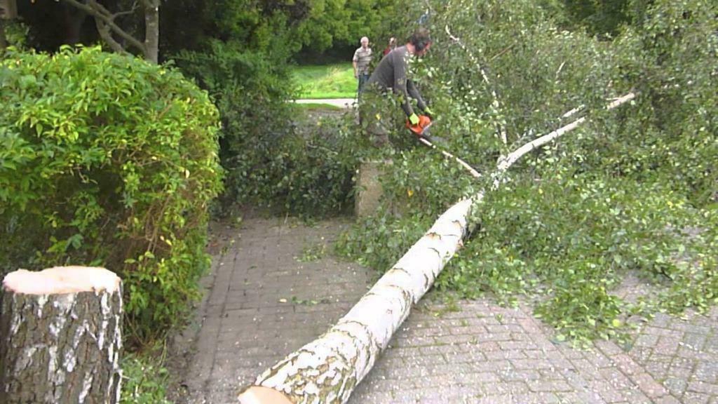 Simon Rademaker tuinman, heggenknipper. Rooiwerk bomen /stru