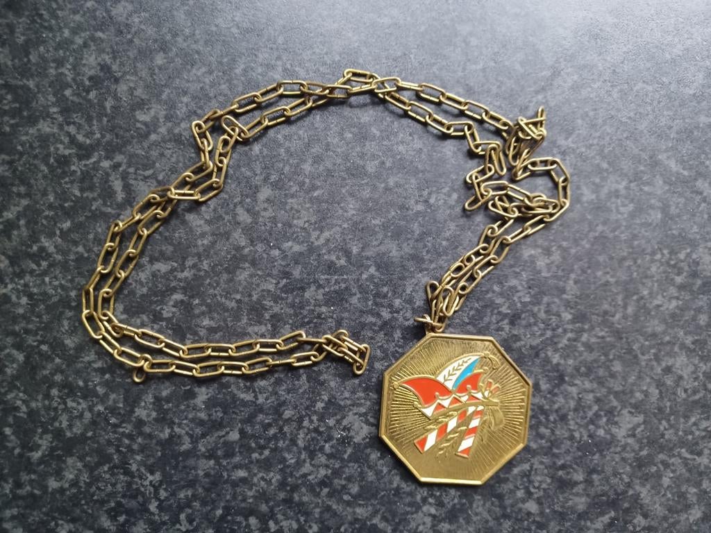 Carnavals medaille onderscheiding CV Peelvrujters (Heusden), Postzegels en Munten, Penningen en Medailles, Ophalen, Overige materialen
