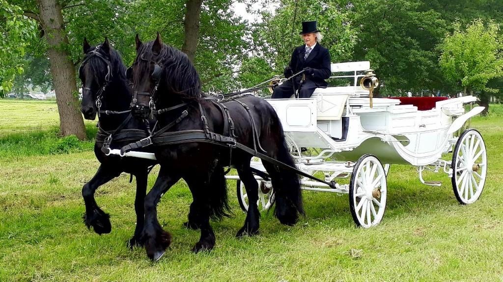 Witte Trouwkoets, Friese Paardenshow, Romeins Uitje, Rondrit