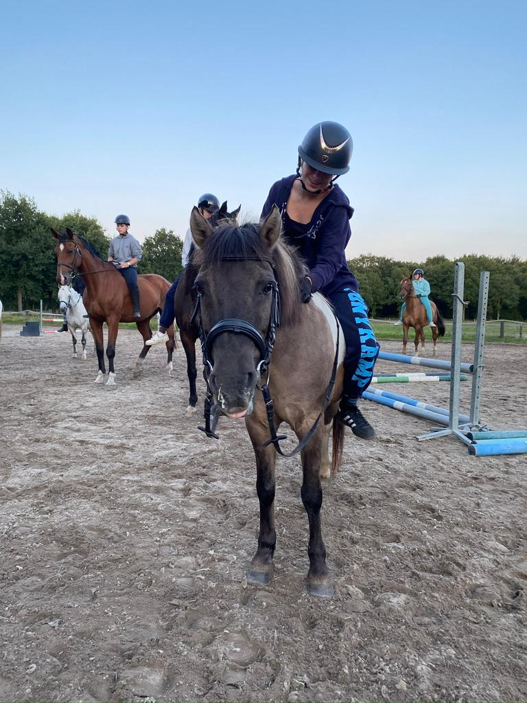 Verzorger/ bijrijder aangeboden, verzorg pony gezocht, Ophalen of Verzenden, Nieuw