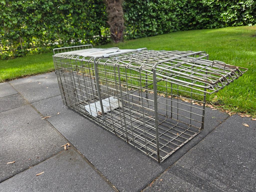 Steenmarter/ ratten kooi vangkooi beesten, Dieren en Toebehoren, Ophalen of Verzenden