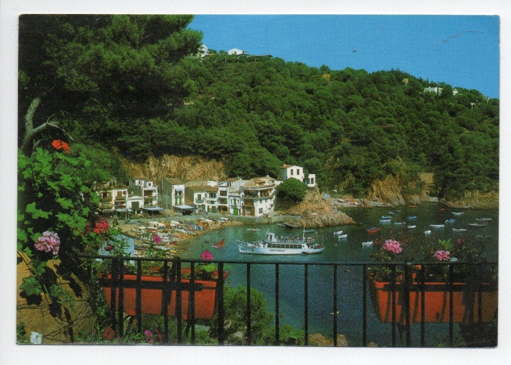 Spanje. Ansichtkaart Tamariu, Costa Brava,  (1981), Ophalen of Verzenden, 1980 tot heden, Gelopen, Spanje