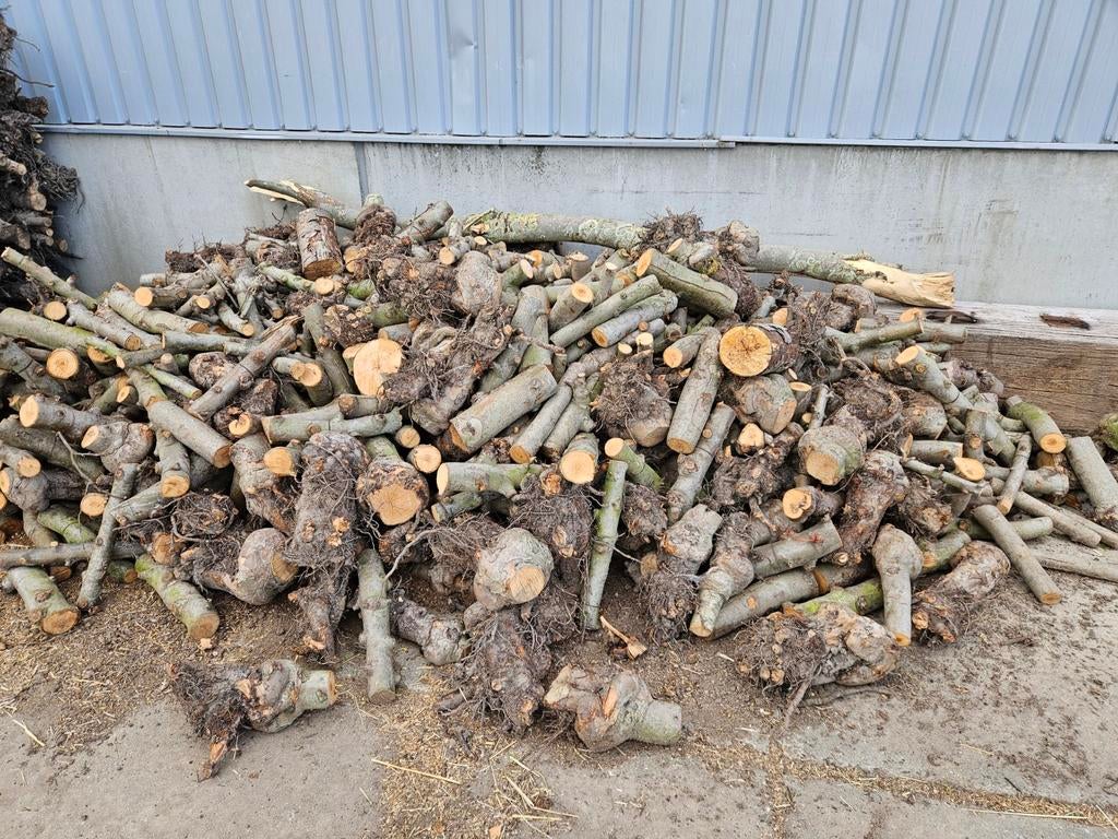 Appelhout, Tuin en Terras, 3 tot 6 m³, Ophalen