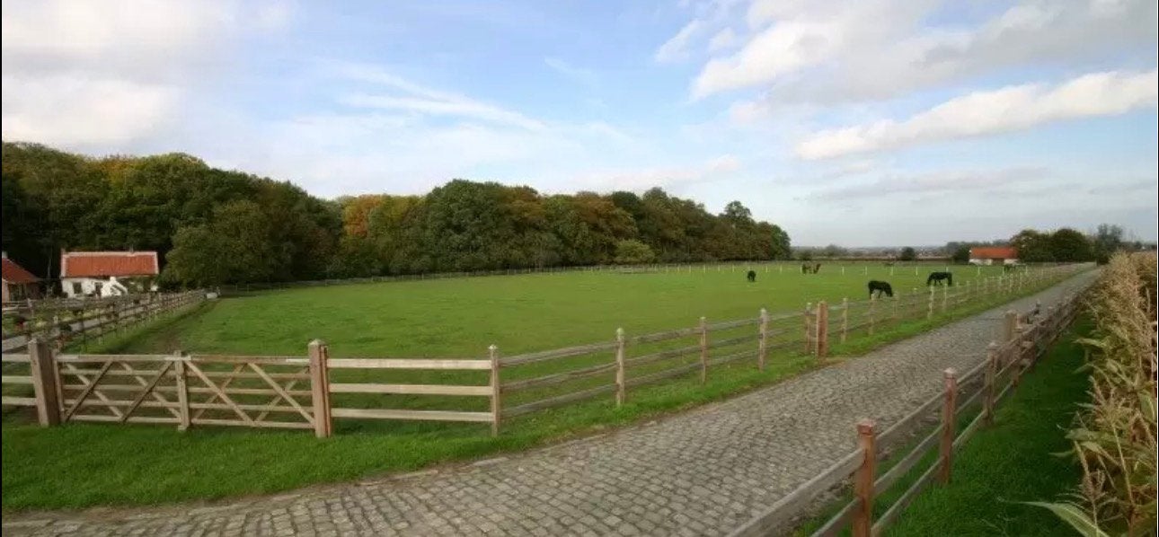 Op zoek naar een weide om te huren, Weidegang