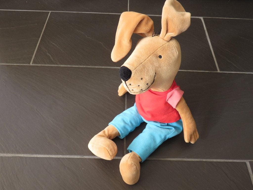 Haas knuffel van Kikker en vriendjes, 40cm van Max Velthuijs, Ophalen of Verzenden, Zo goed als nieuw, Kikker