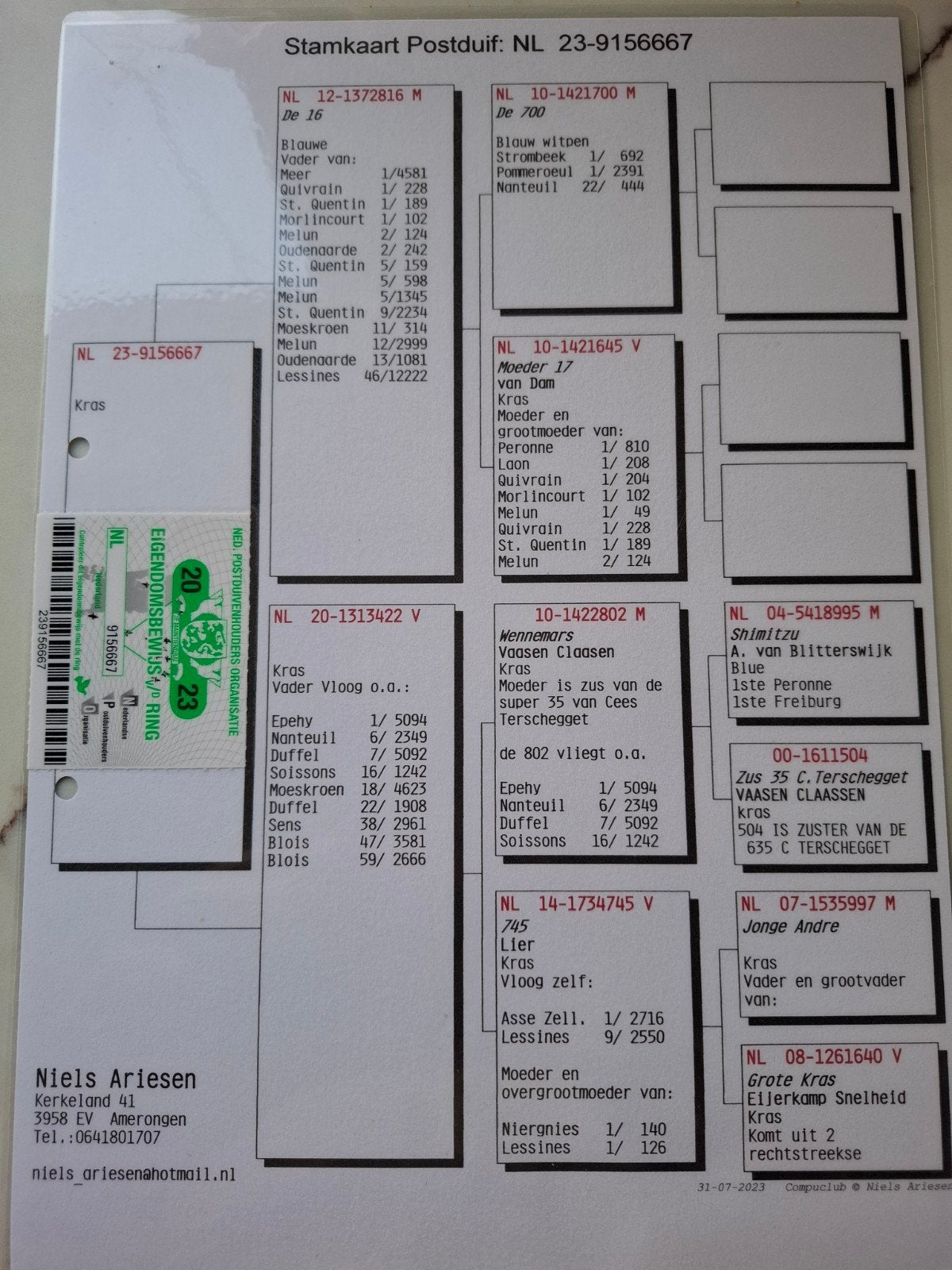 Kweker Niels Ariesen, Dieren en Toebehoren, Vogels | Duiven, Mannelijk, Postduif