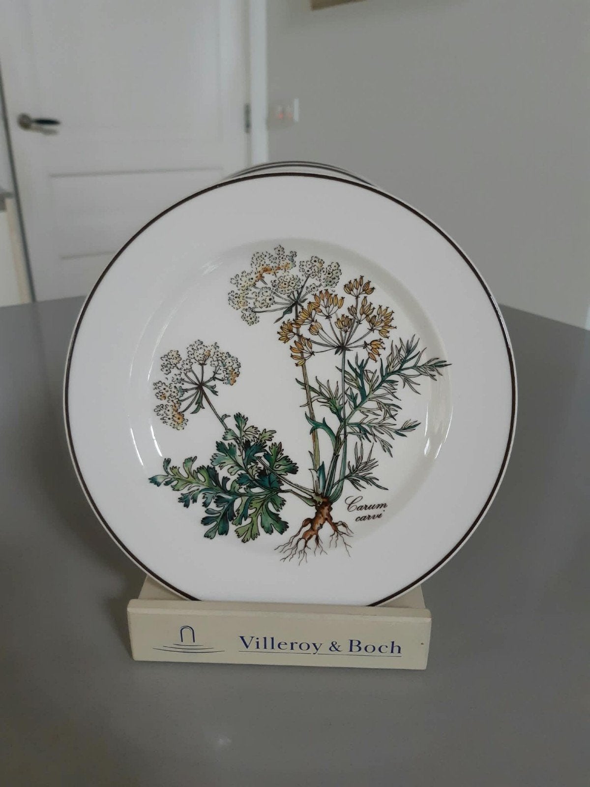 Gebaksbordjes side dishes Villeroy en Boch Botanica, Ophalen of Verzenden, Zo goed als nieuw, Bord(en), Overige stijlen