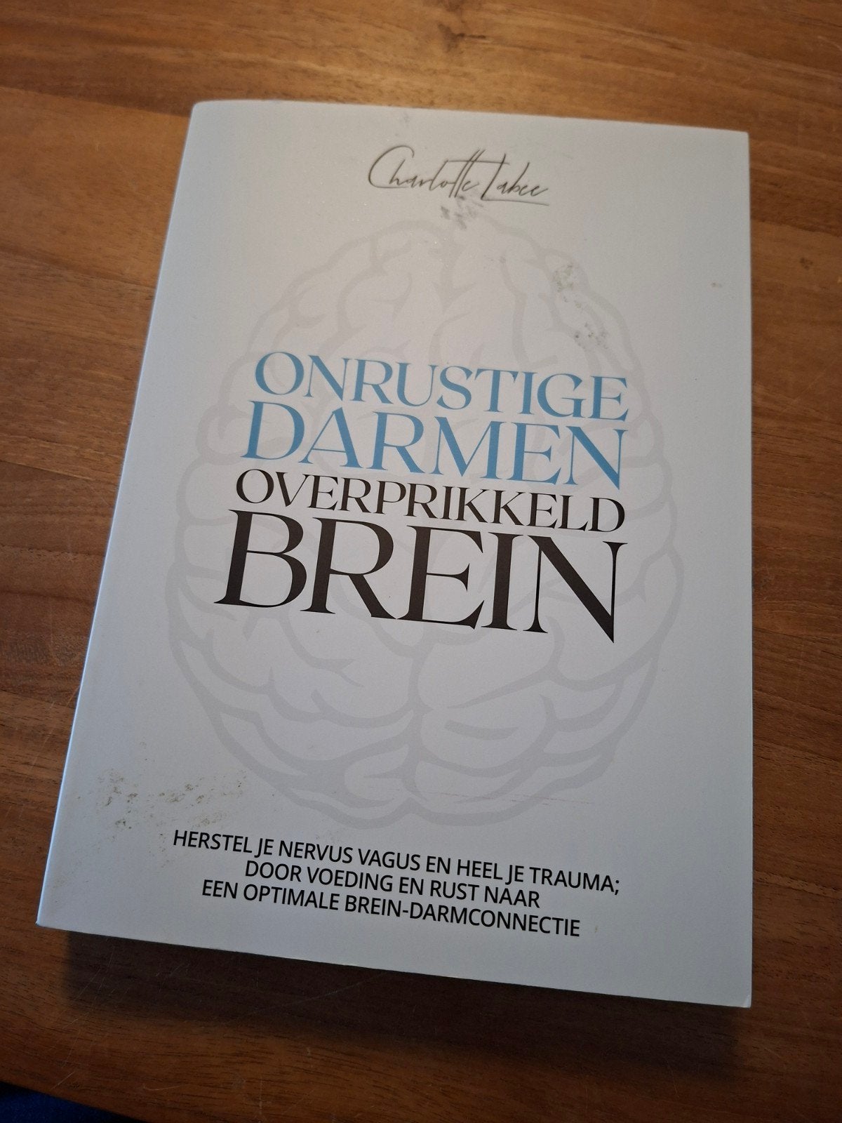 Charlotte Labee - Onrustige darmen, overprikkeld brein, Boeken, Charlotte Labee, Ophalen of Verzenden, Zo goed als nieuw, Overige onderwerpen