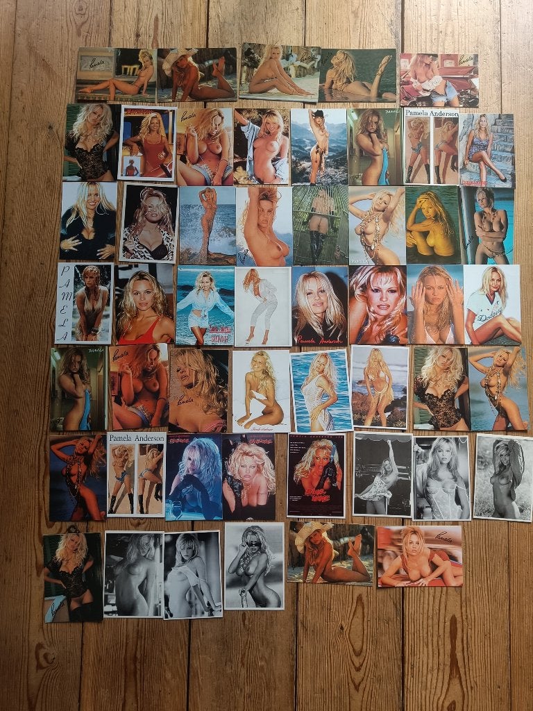 51 naakte PAMELA ANDERSON ANSICHTKAARTEN BAYWATCH nude, Verzenden, 1980 tot heden, Ongelopen, Sterren en Beroemdheden