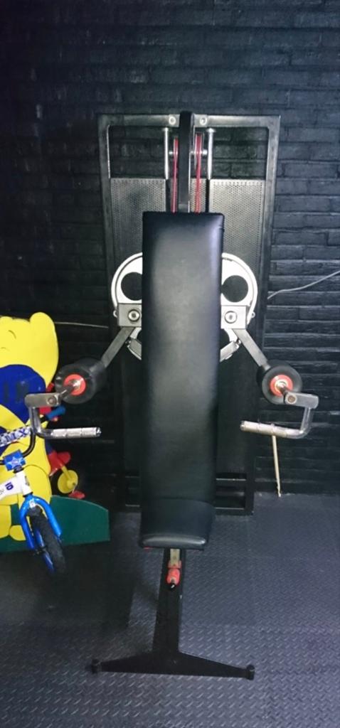 Lateral Raise, Ophalen, Zo goed als nieuw, Krachtstation