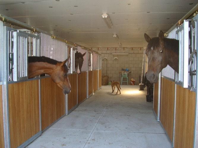 Paardenboxen, paardenstallen, stallen, voorwanden, Weidegang, 4 paarden of pony's of meer