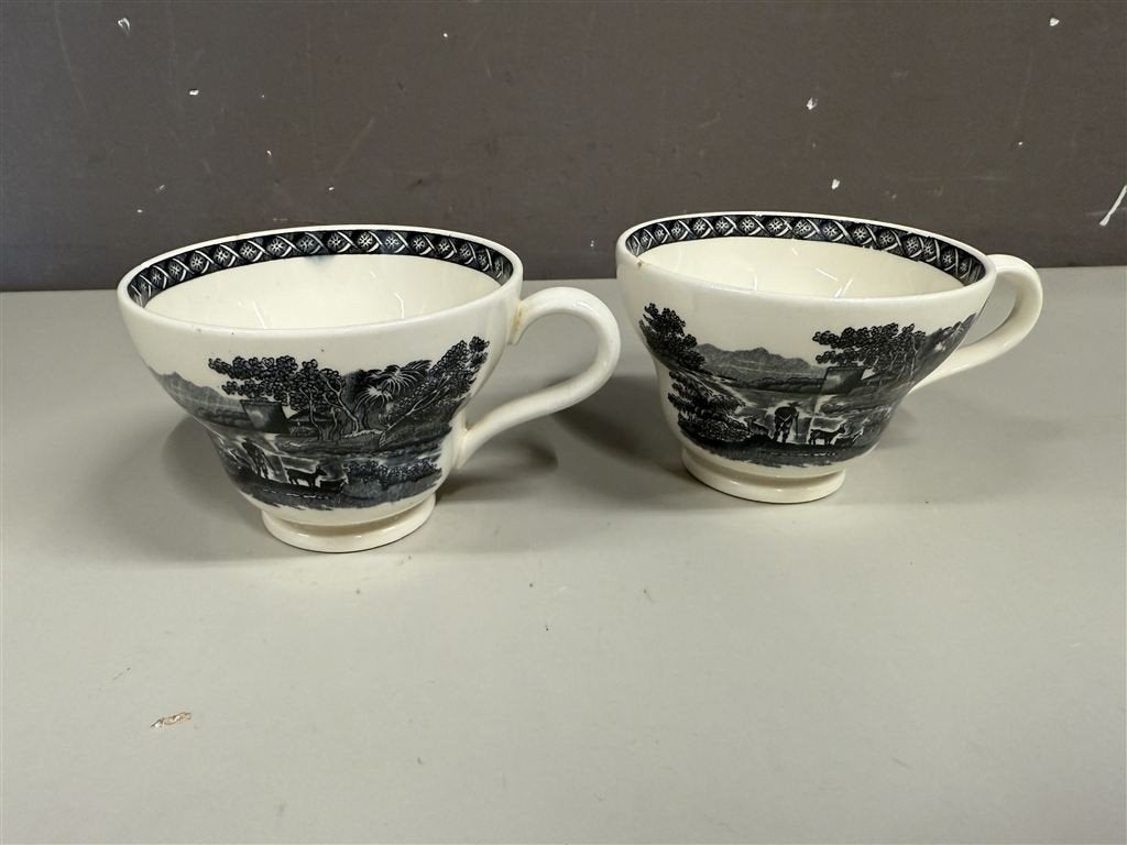 Wedgwood Lugano Etruria & Barlaston Black thee kopjes, Ophalen of Verzenden, Zo goed als nieuw, Aardewerk, Bord(en)