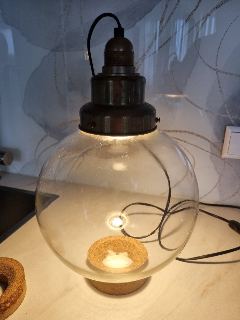 Terrarium, Overige materialen, Rond, Binnen, Zo goed als nieuw