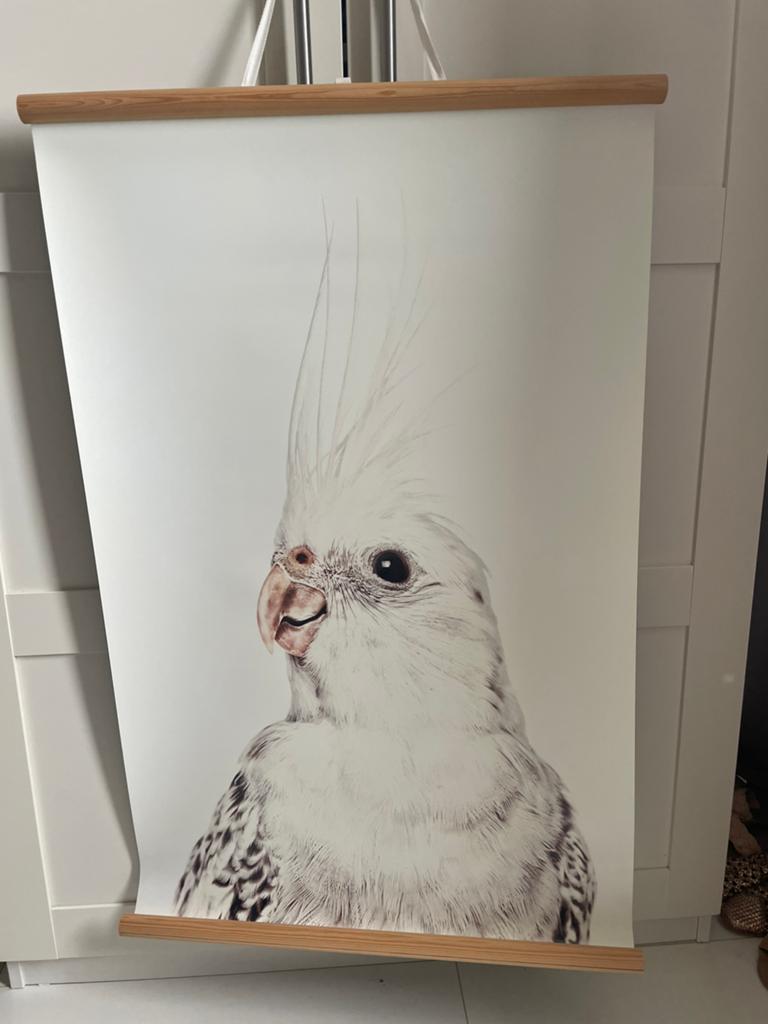Groovy Magnets poster, Ophalen, Zo goed als nieuw, Wanddecoratie