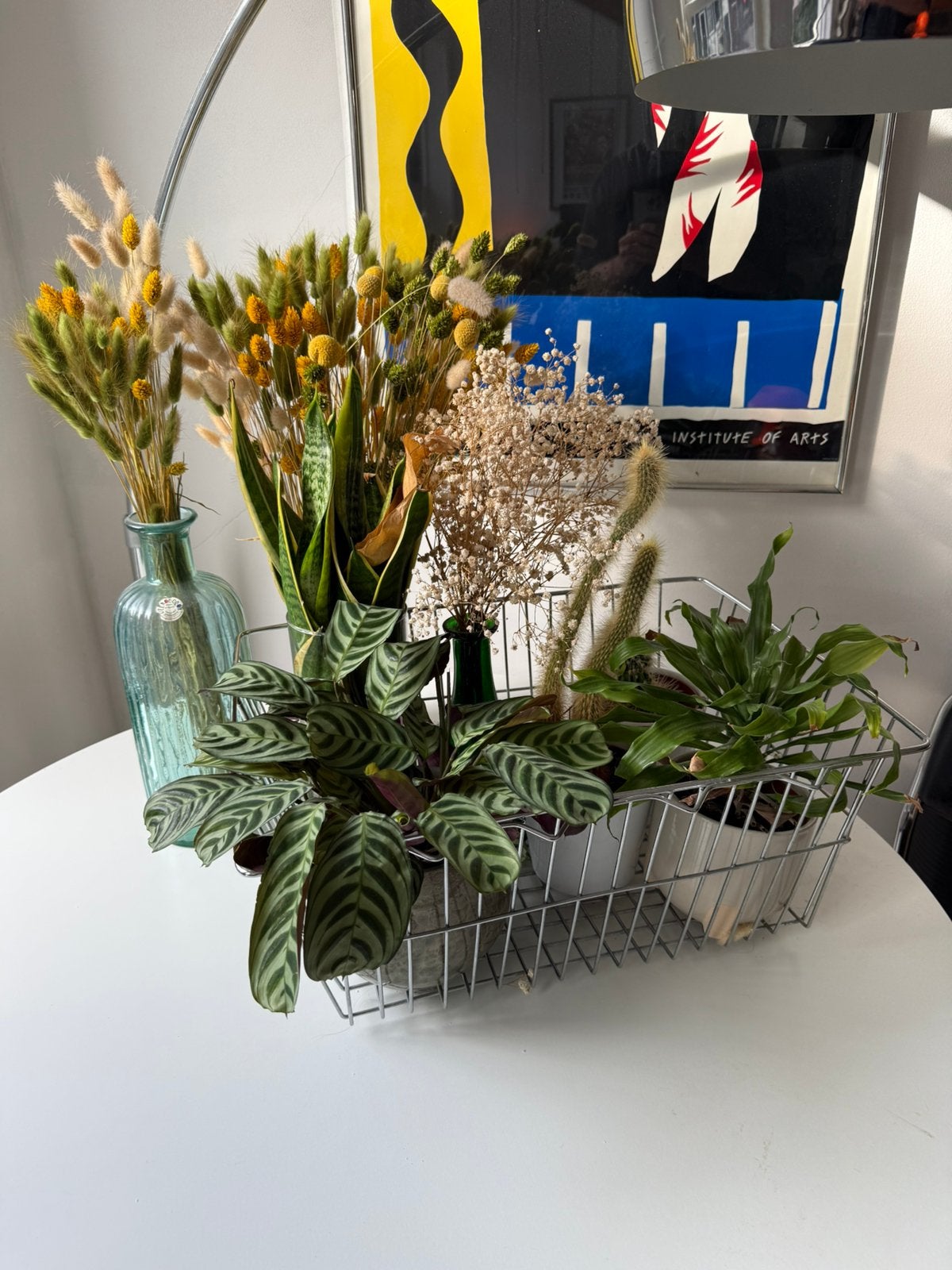 8 Plants/Cacti/Dried Grass + Vases, Pots & Metal Basket, Ophalen, Volle zon, Minder dan 100 cm
