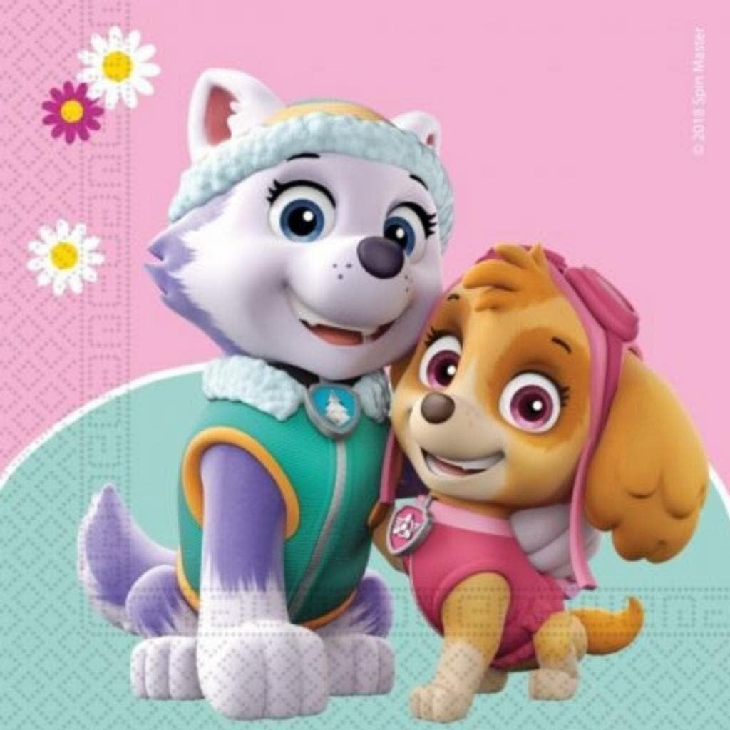 Paw Patrol Meisjes Feestartikelen / Versiering / Verjaardag, Verjaardag, Nieuw, Ophalen of Verzenden, Nvt