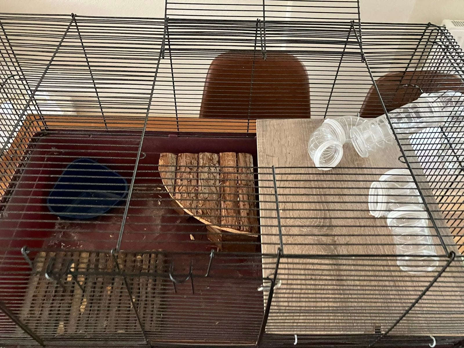Hamster kooi