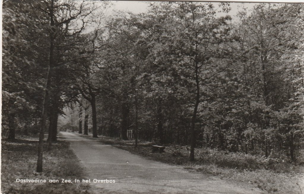 oostvoorne- in het overbos, Ophalen of Verzenden, 1940 tot 1960
