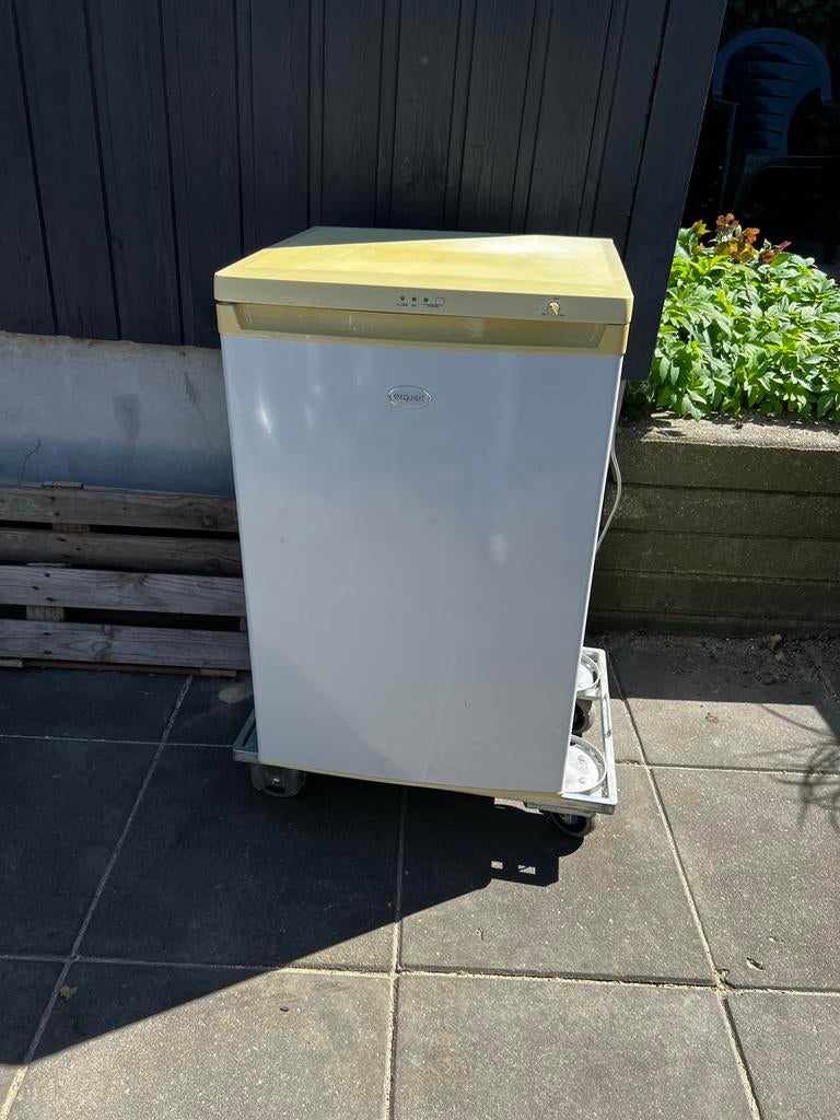 Tafelmodel vriezer met 4 laden, Gebruikt, Minder dan 60 cm, Vrijstaand, Ophalen