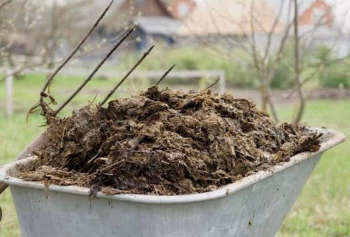 Paardenmest compost moestuin bemesting potgrond, Tuin en Terras, Ophalen, Mest