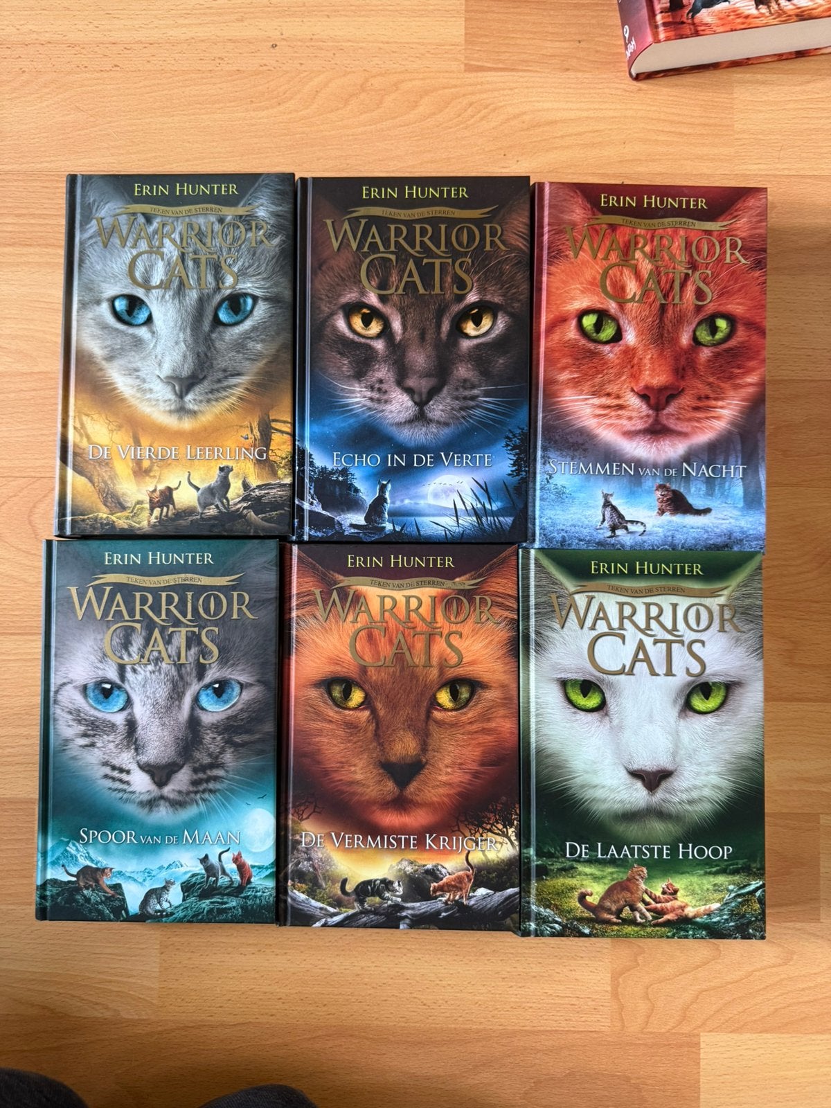 Warrior cats serie 4, Ophalen of Verzenden, Zo goed als nieuw
