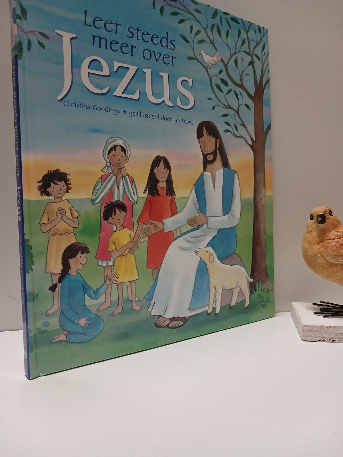 Goodings, Christina; Leer steeds meer over Jezus, Ophalen of Verzenden, Gelezen, Christendom | Protestants