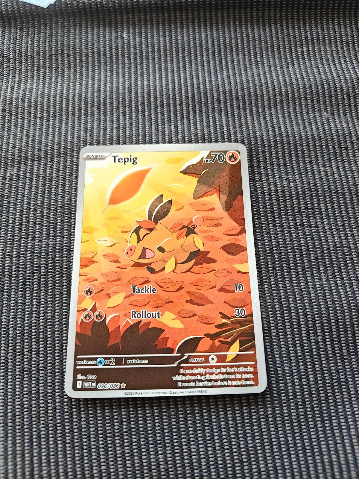 Tepig White Flare Pokemon Kaart - Perfecte Mint Conditie, Ophalen of Verzenden